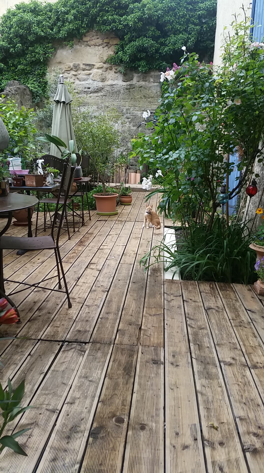 Terrasse jardin