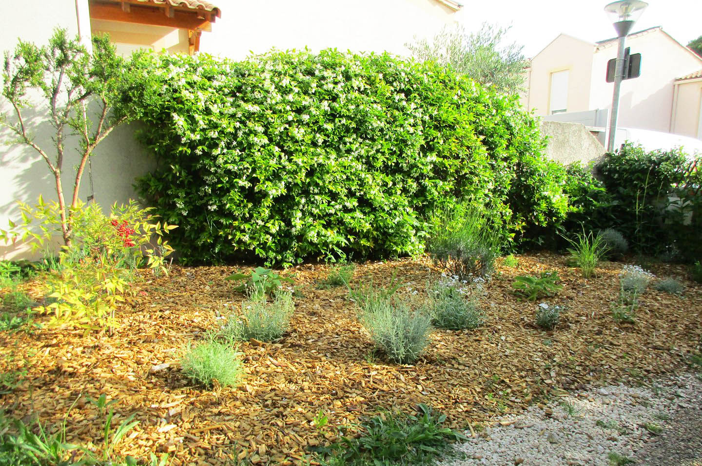 Massif mediterraneen 2 6 mois