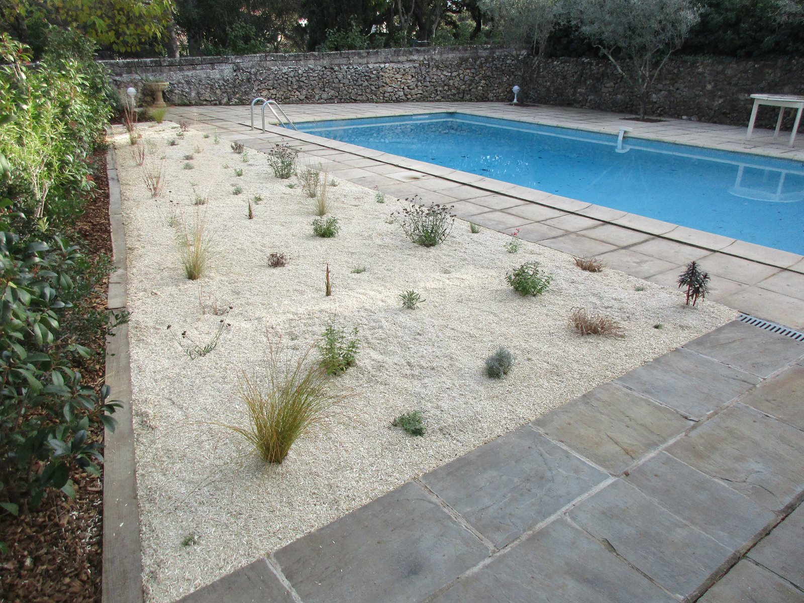 Massif jardin sec