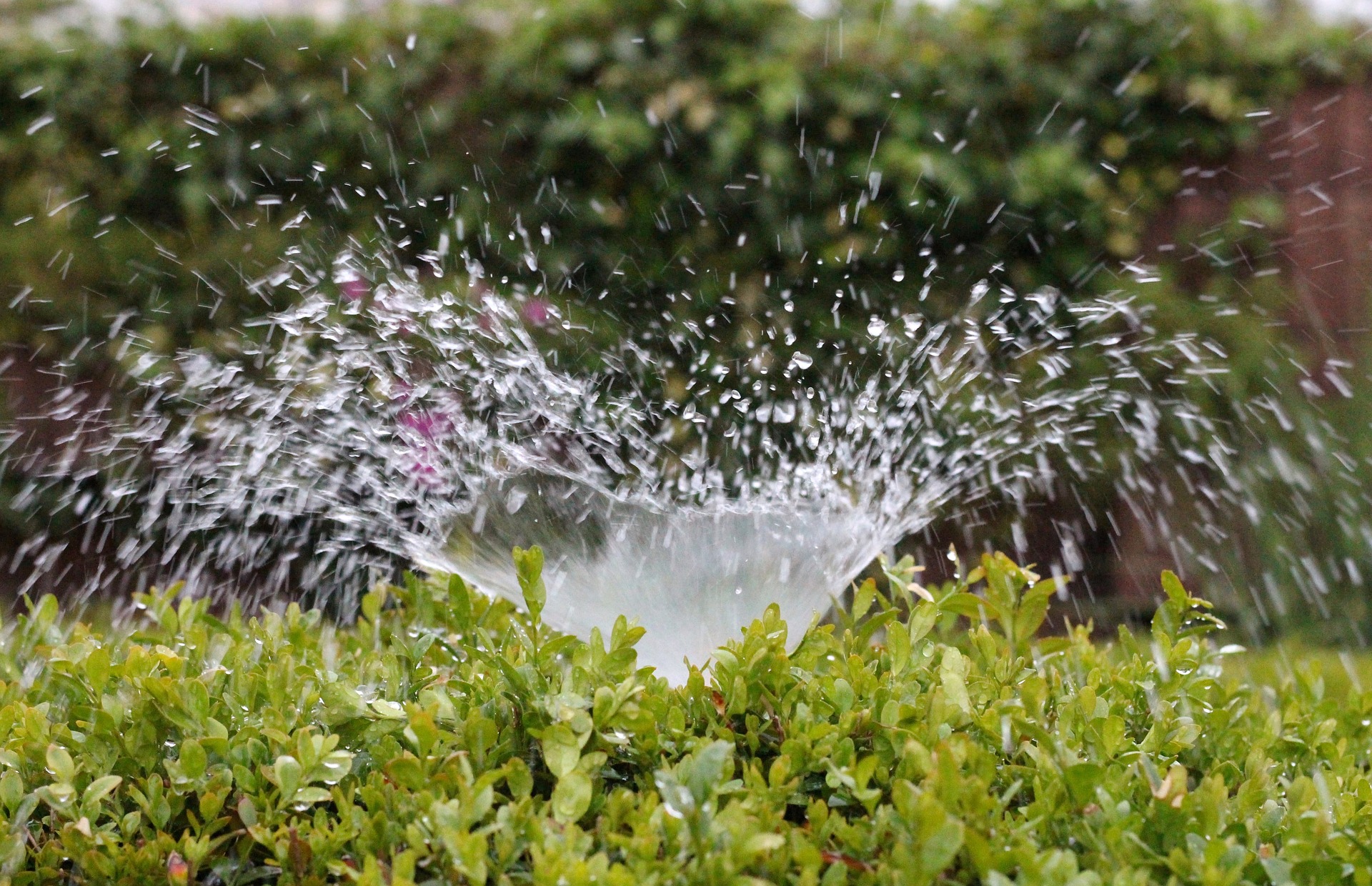 Irrigation 2402568 1920