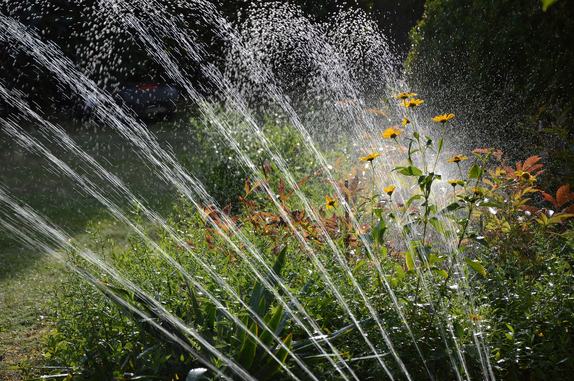 Garden 3664278 1920