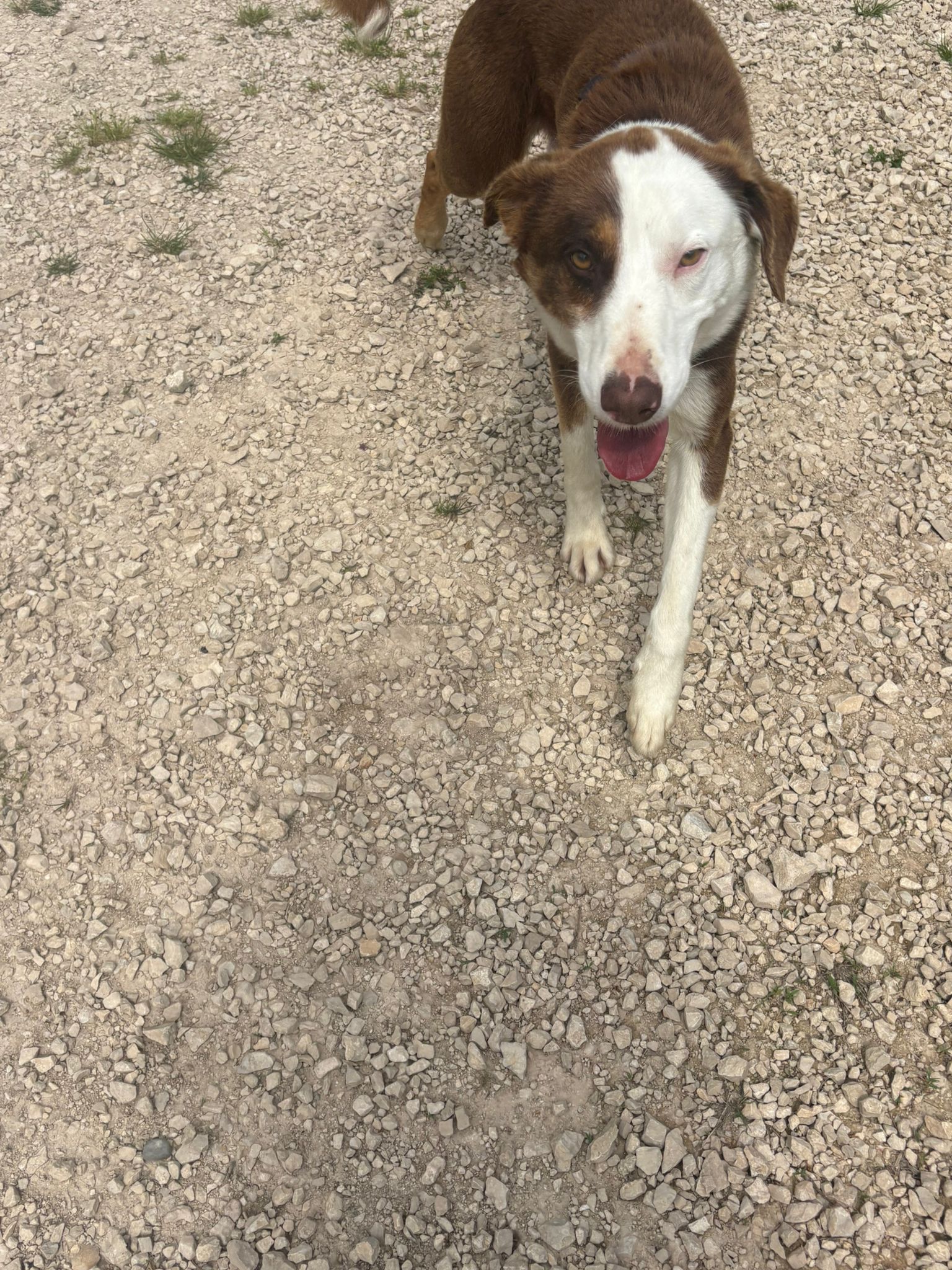 Whatsapp image 2025 05 07 at 03 44 26 4 