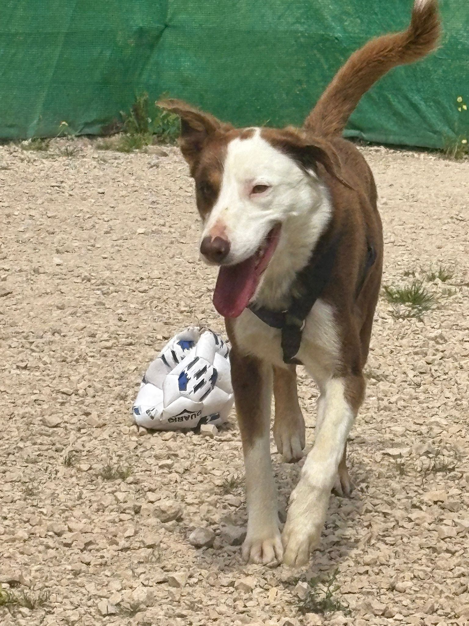 Whatsapp image 2025 05 07 at 03 44 26 3 