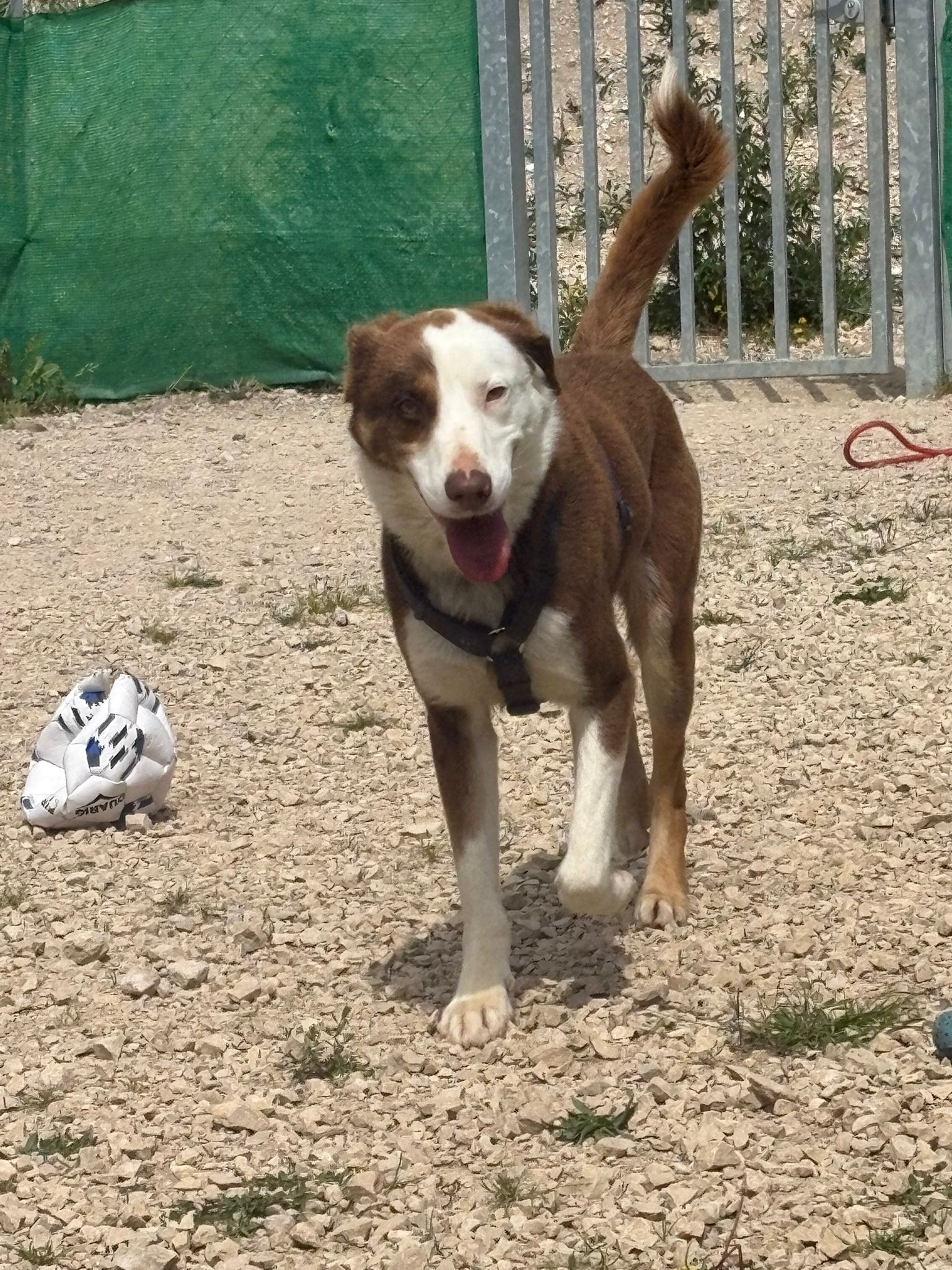 Whatsapp image 2025 05 07 at 03 44 26 2 