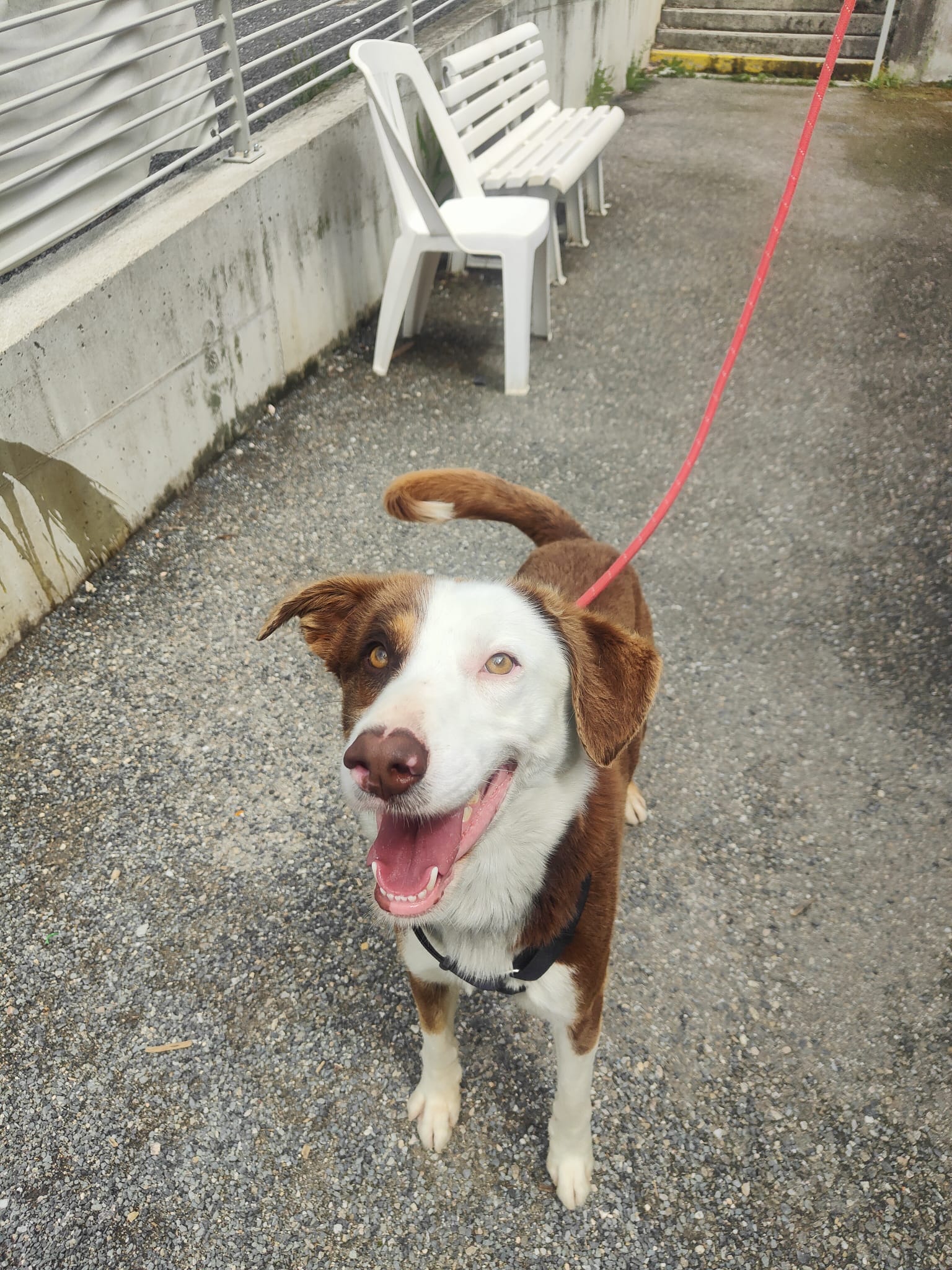 Whatsapp image 2025 05 04 at 18 58 24