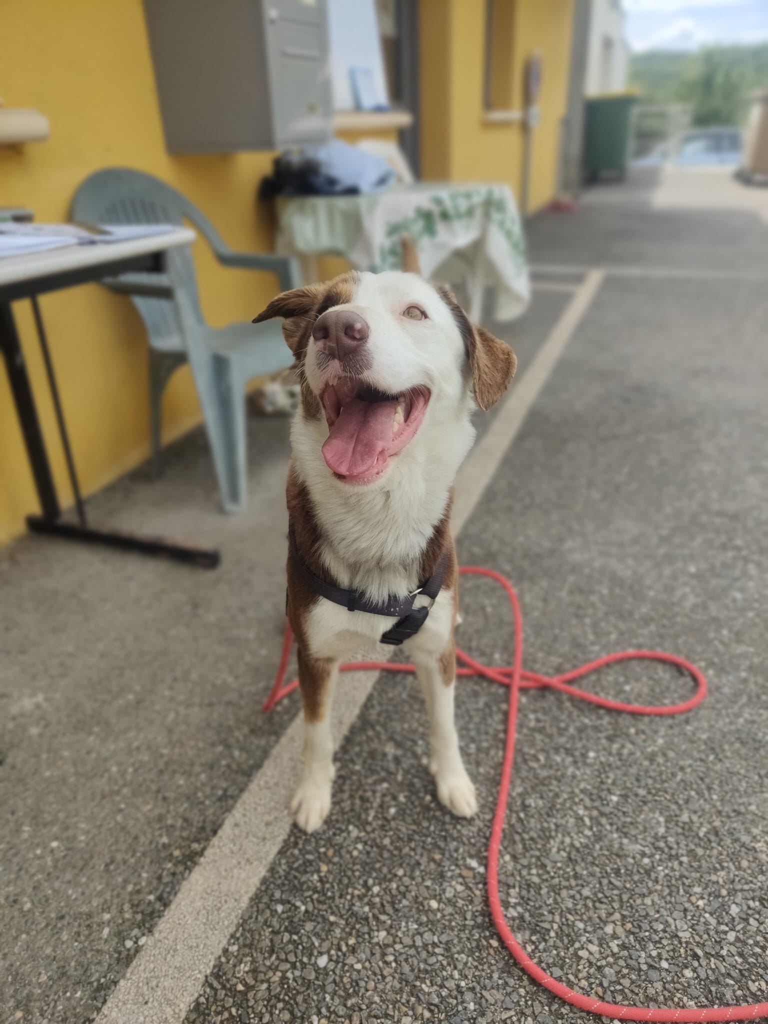 Whatsapp image 2025 05 04 at 18 58 24 1 