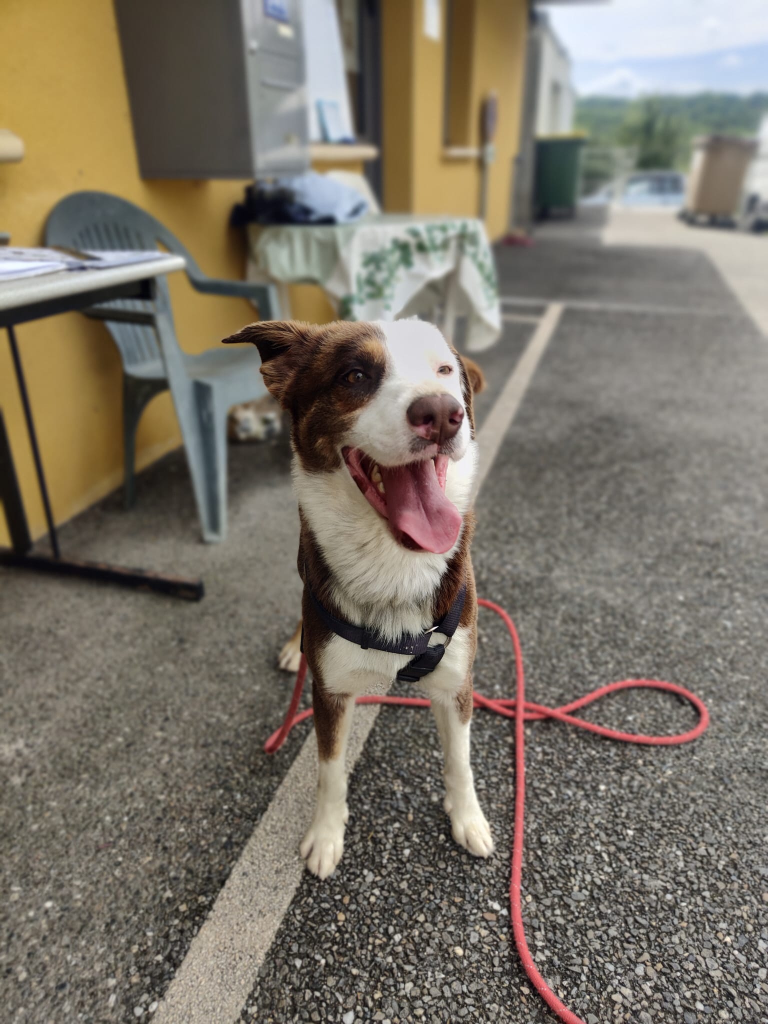 Whatsapp image 2025 05 04 at 18 58 23