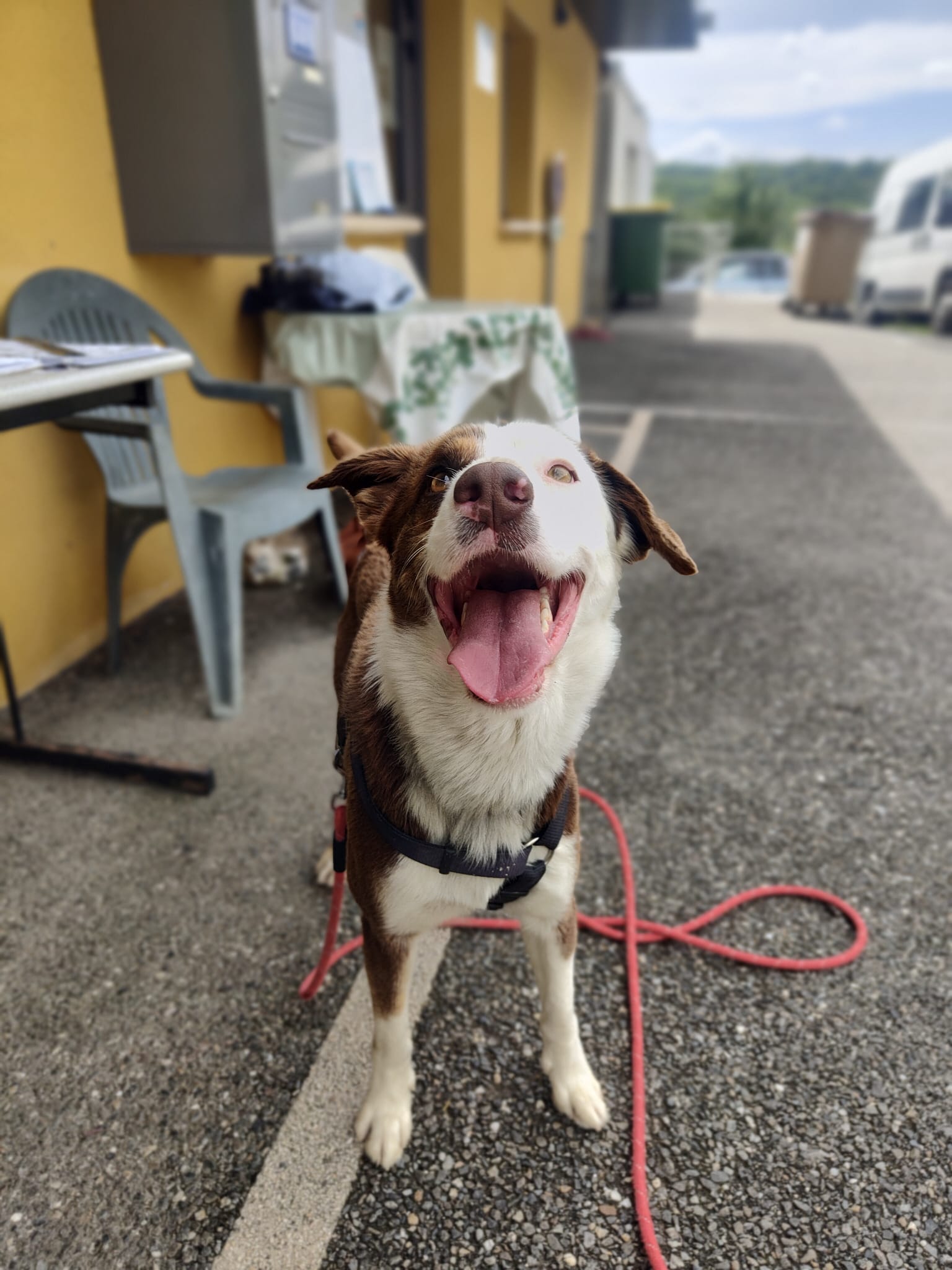 Whatsapp image 2025 05 04 at 18 58 23 1 