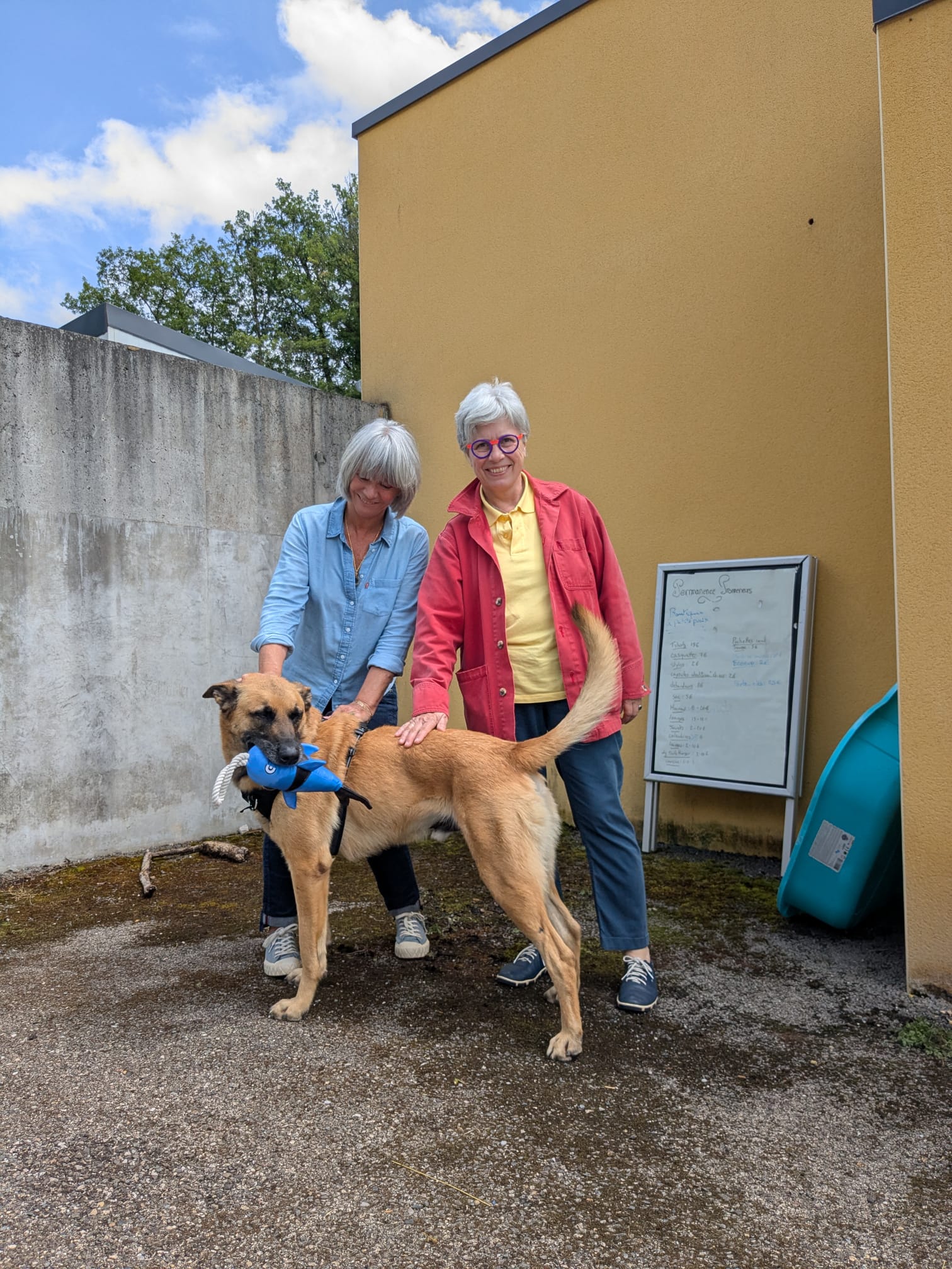 Whatsapp image 2025 06 07 at 19 01 43