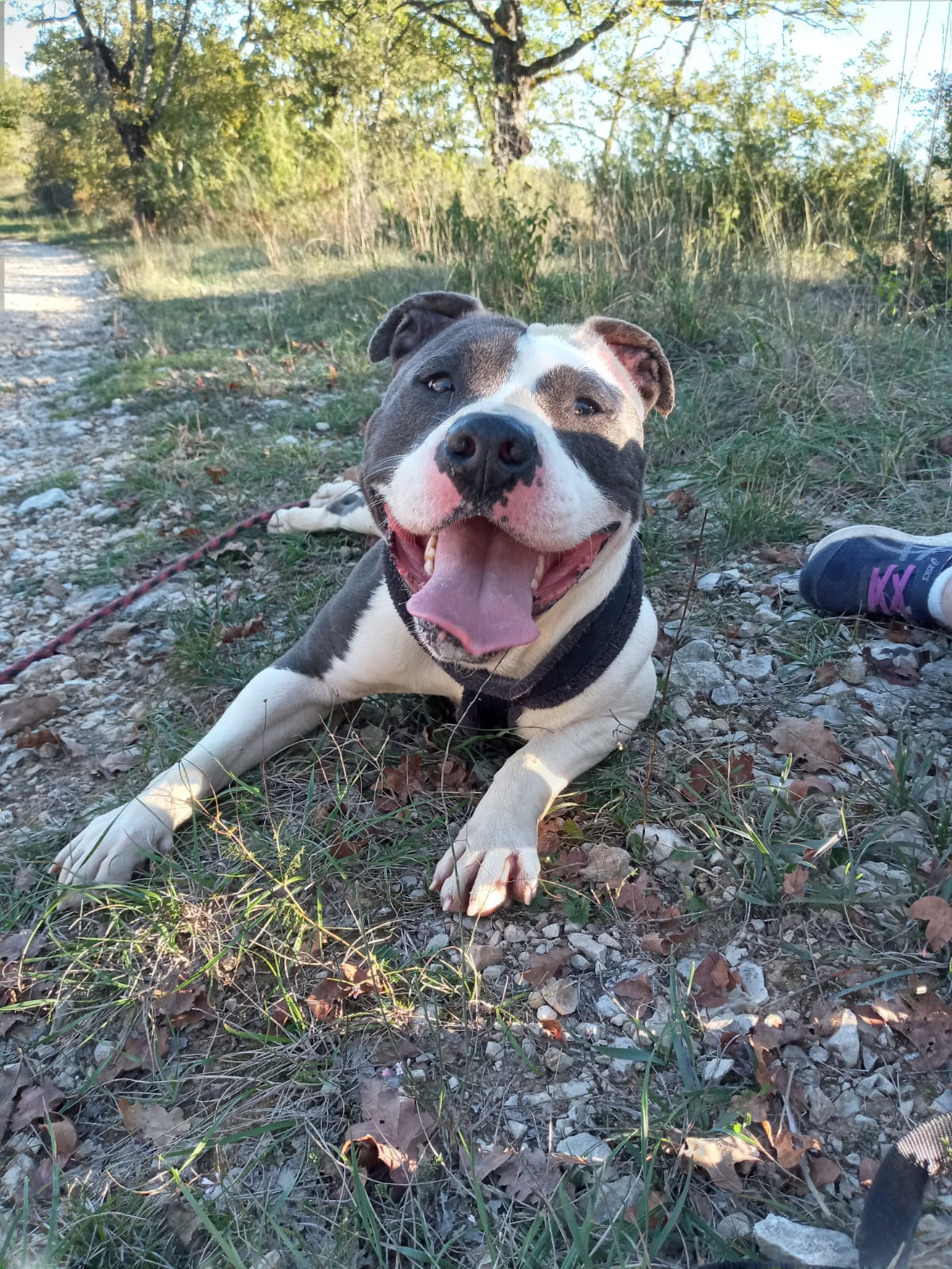 Whatsapp image 2024 10 05 at 18 39 20