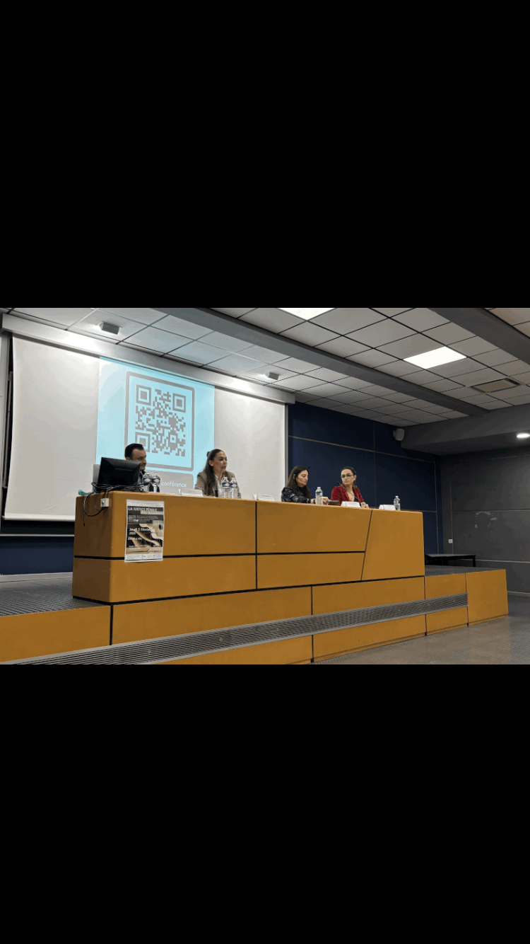 Img 7519 laurent sebag