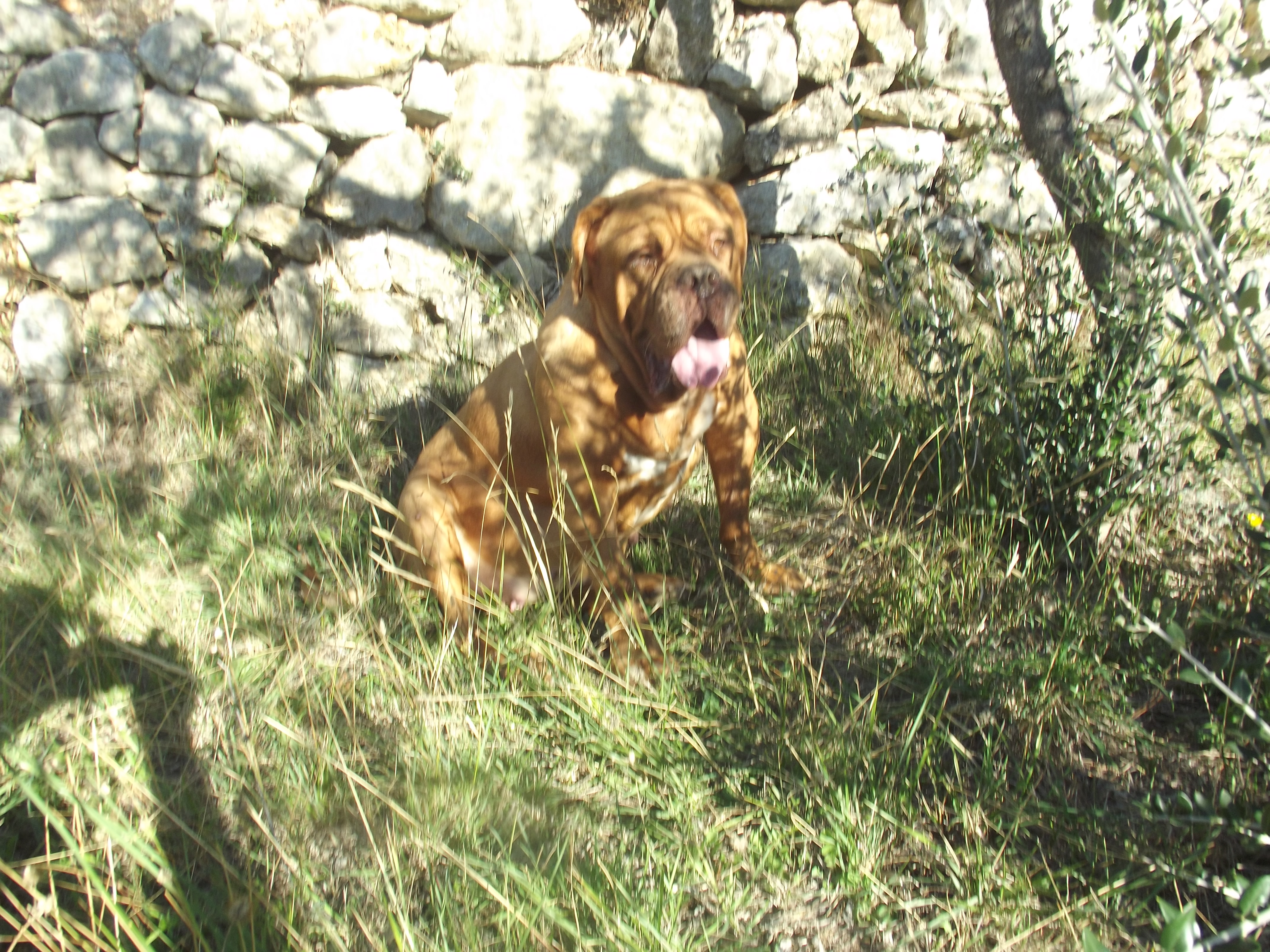 Dscf2378