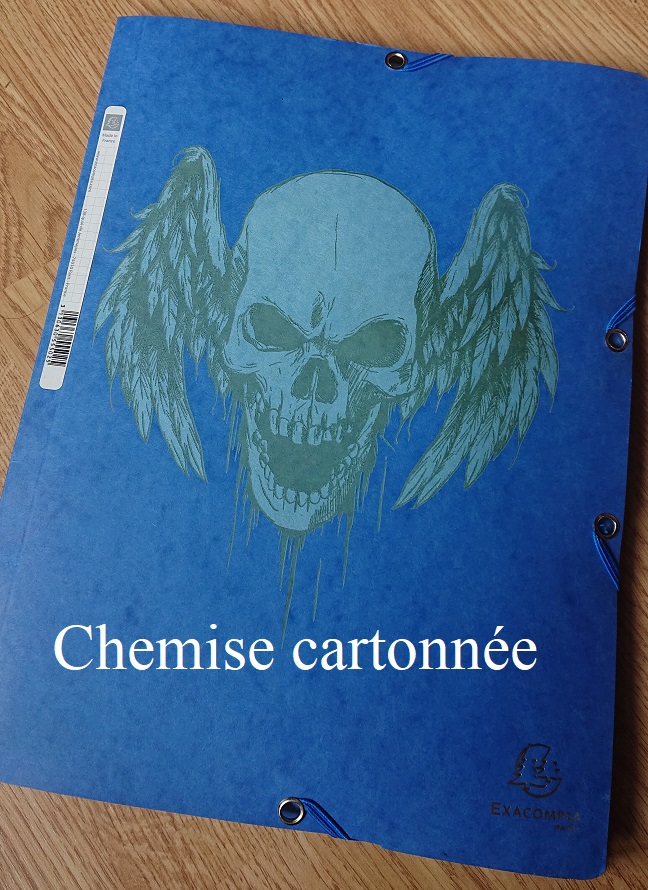 Chemise cartonnee