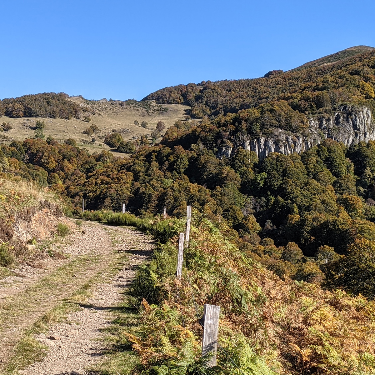 Vallee-Faillitoux