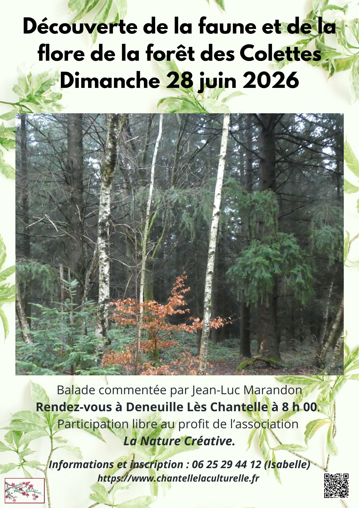 Balade dans la Forêt des Colettes - dimanche 28 juin à 8 h