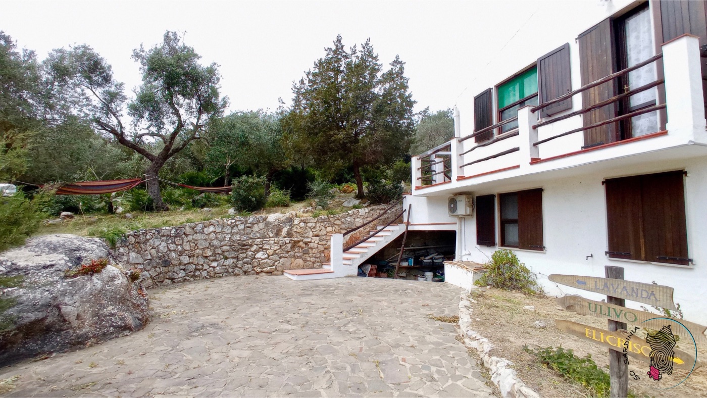 Casa lavanda 15