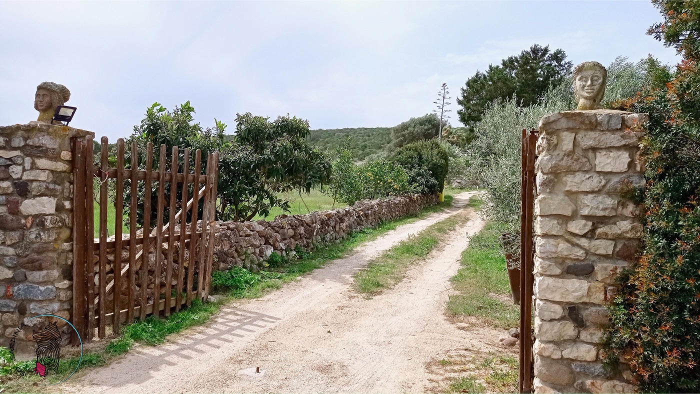 Casa lavanda 21