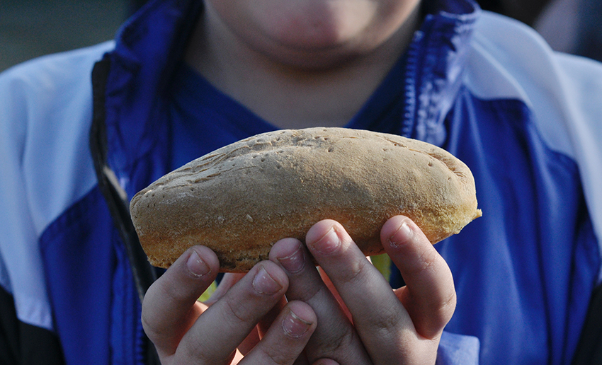 Apprendre à faire son pain cuit au feu de bois, technique traditionnelle enseigné aux enfants, groupe scolaires, classe verte, école, centre de loisirs à la ferme d'Escures