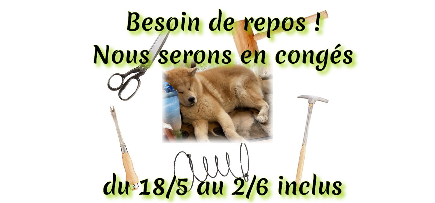 Conges de mai