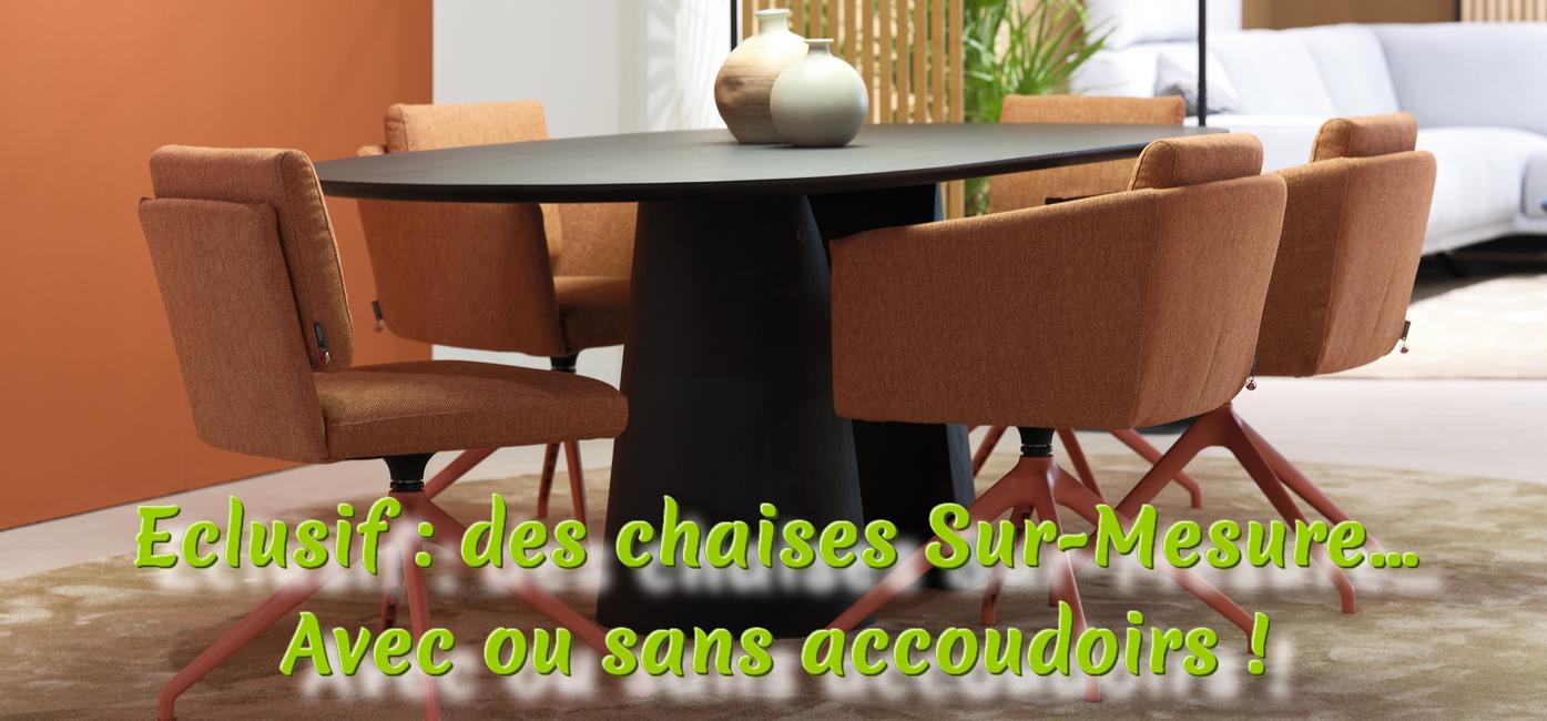 Chaises reglagbles3