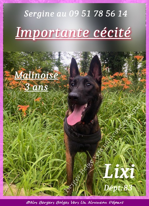 Lixi4