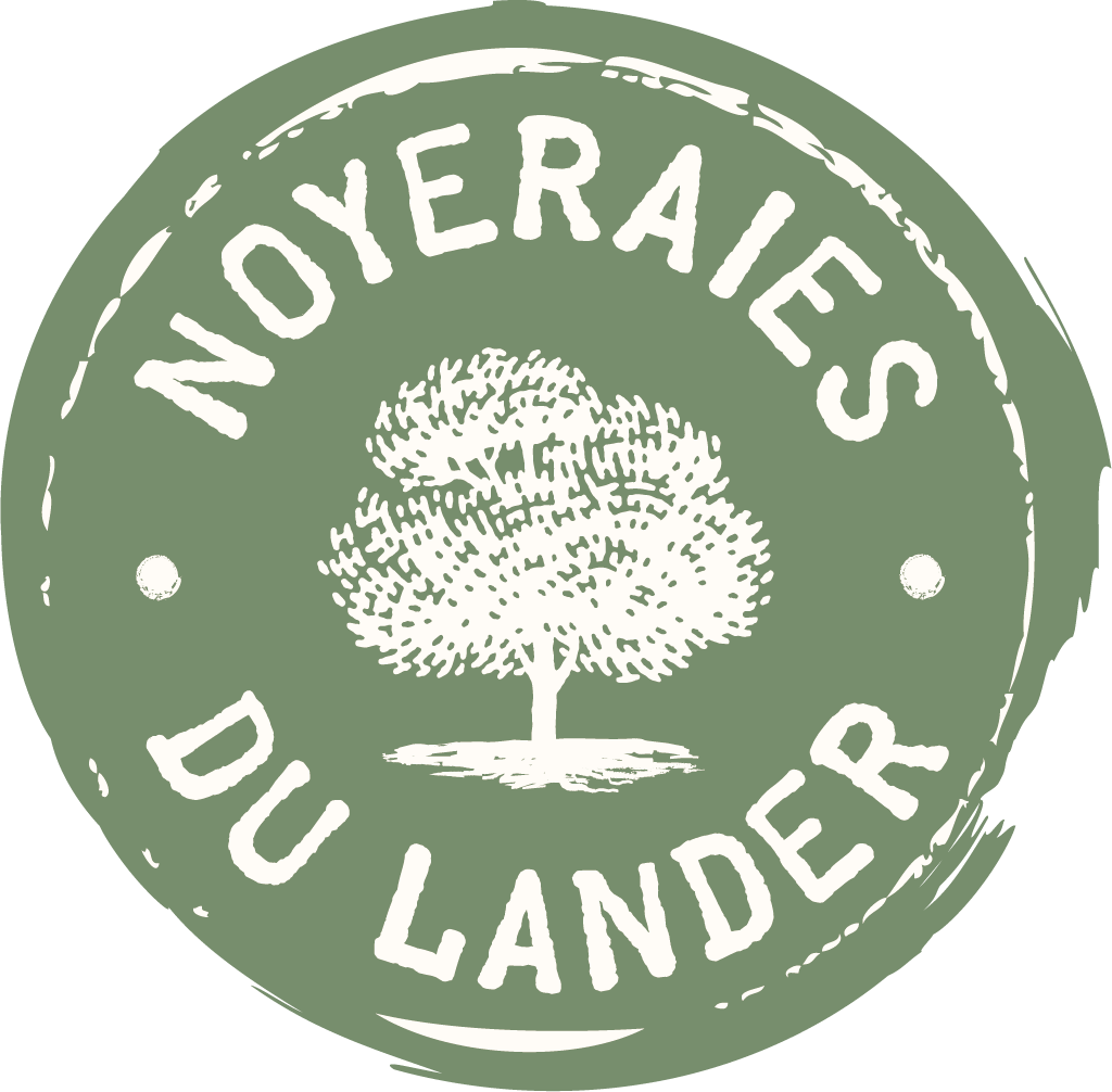 Dlxnoyeraies-du-lander-221222-logo-vecto