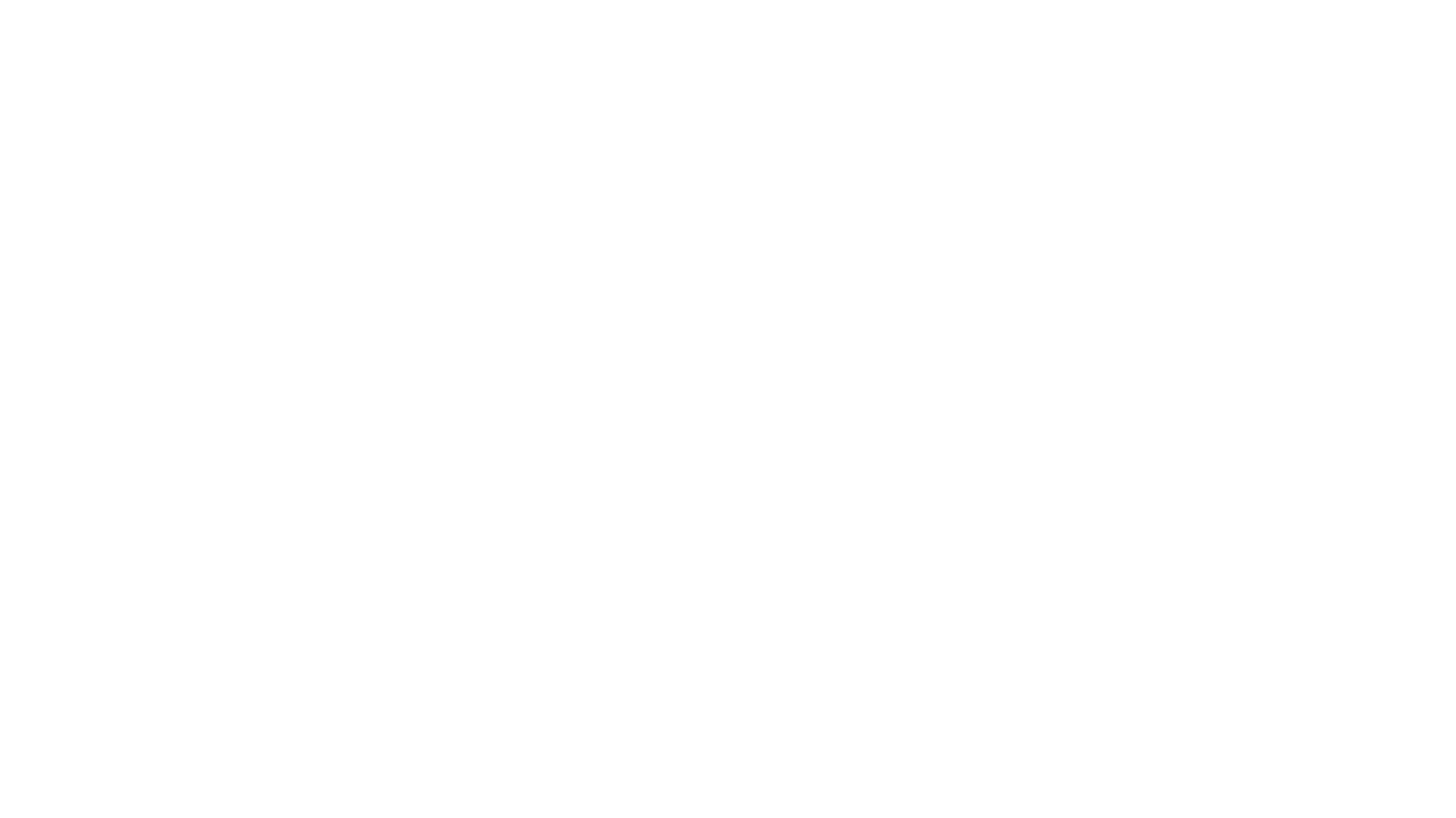 VF Logo White Transparent