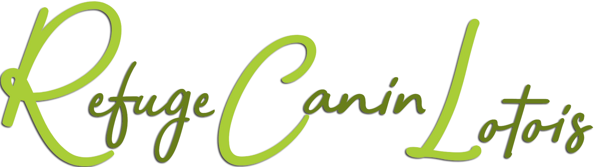 refuge canin lotois