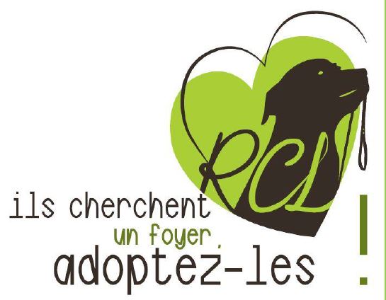 Vous avez raté notre 1ere émission radio sur CFM radio??🐾