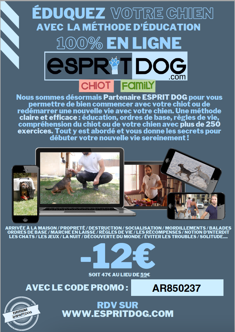 Capture-d-ecran-2024-09-17-a-07-53-28