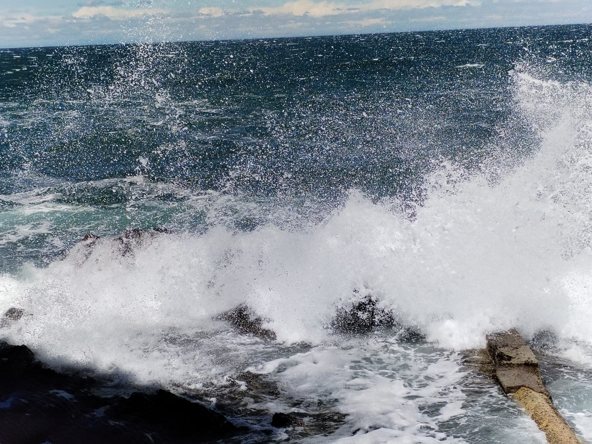 Img 20260516 wa0000