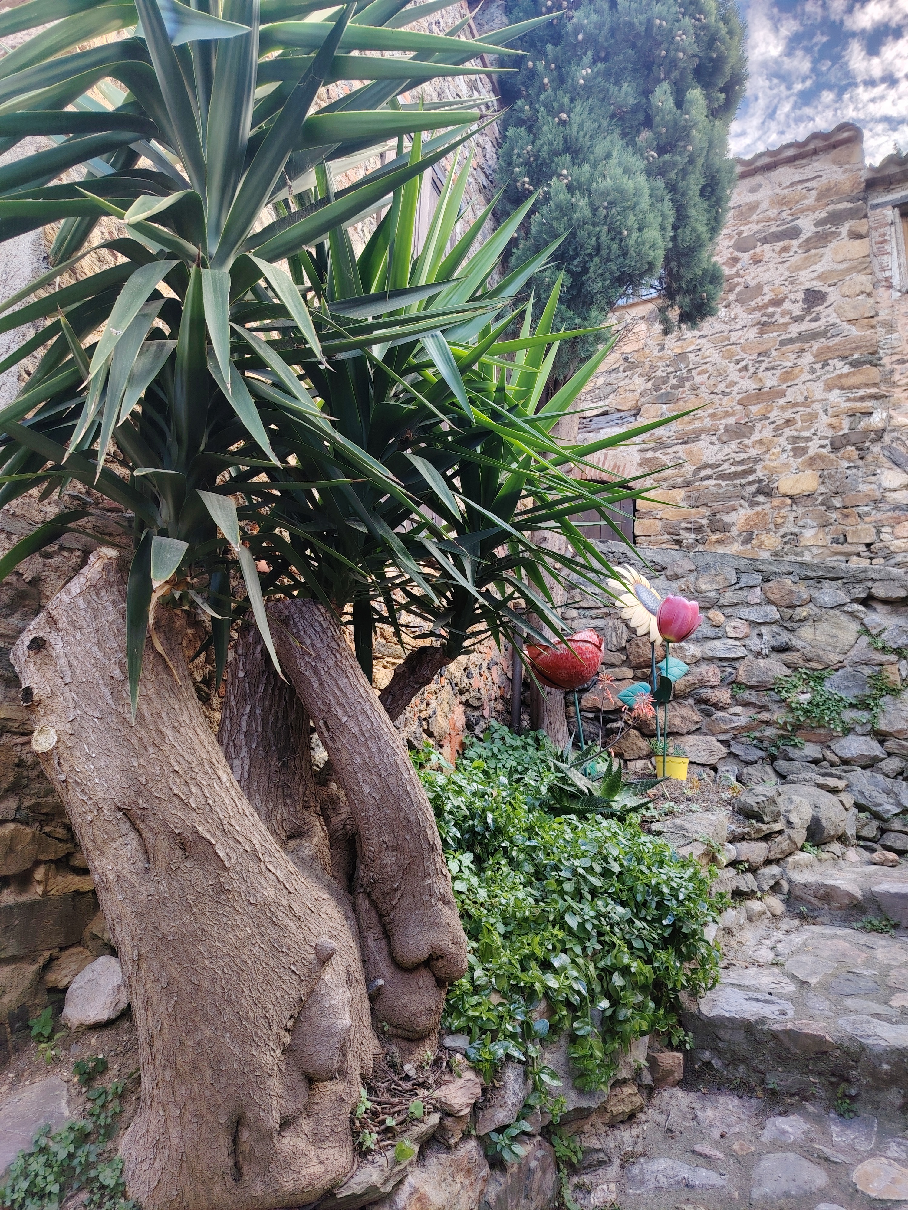 Img 20260516 181119