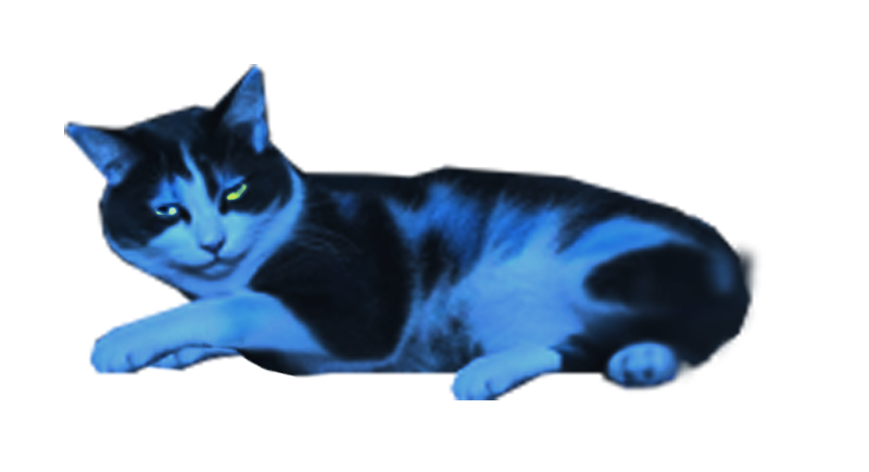 -00-chat-de-tenebrae-005-night