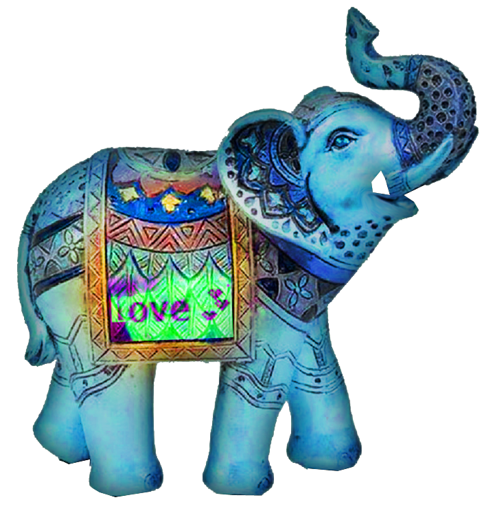 -00-elephant-inde-love-night