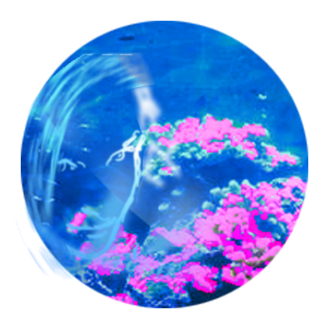 -0000000000-logo-corail-01