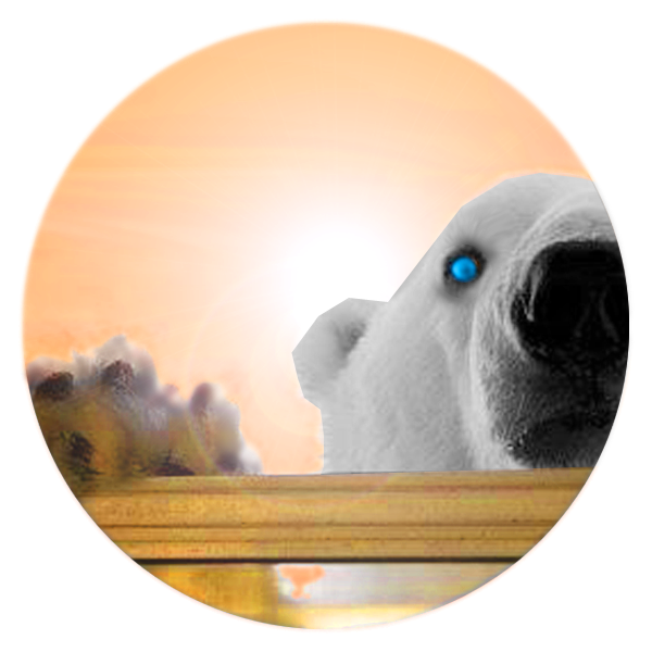 Logo-ours-blanc200