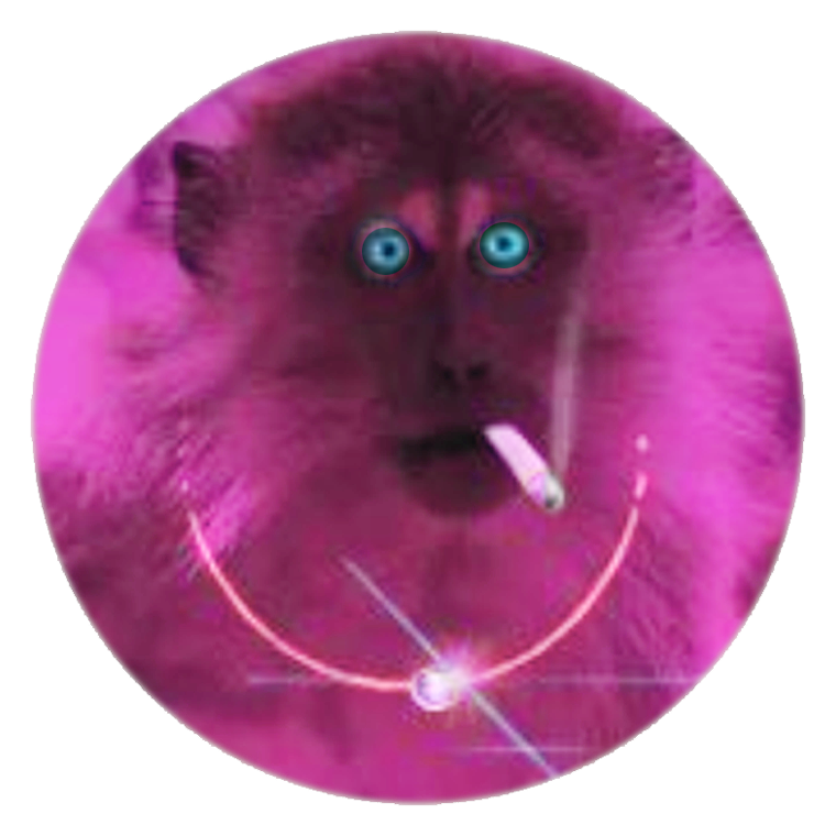 -00-un-singe-au-printemps-110