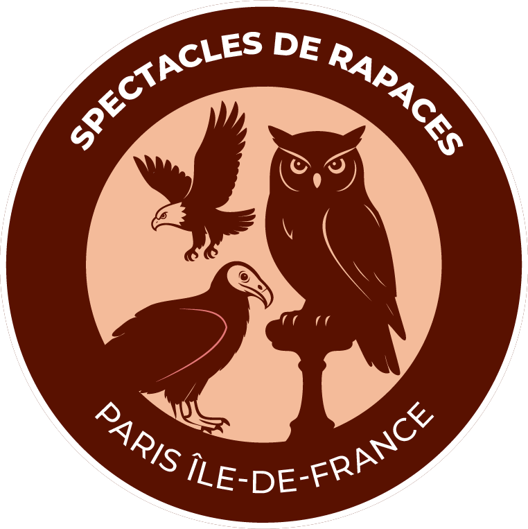 Logo-spectacle