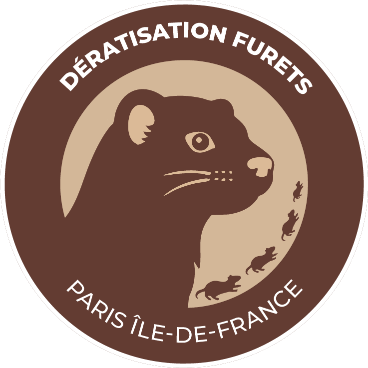 Logo-furets