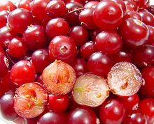 220px cranberries