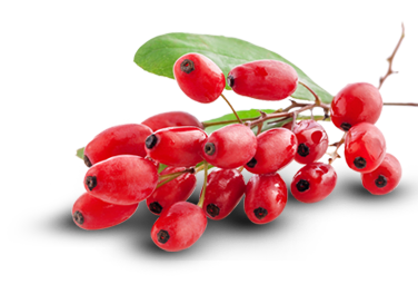 Acheter goji