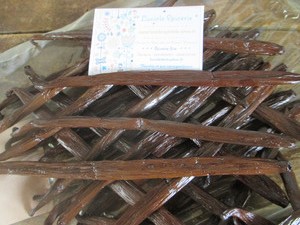 Cvsu1 IMG 0708