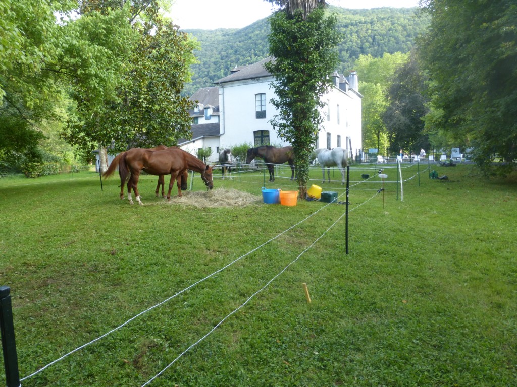 P1000589