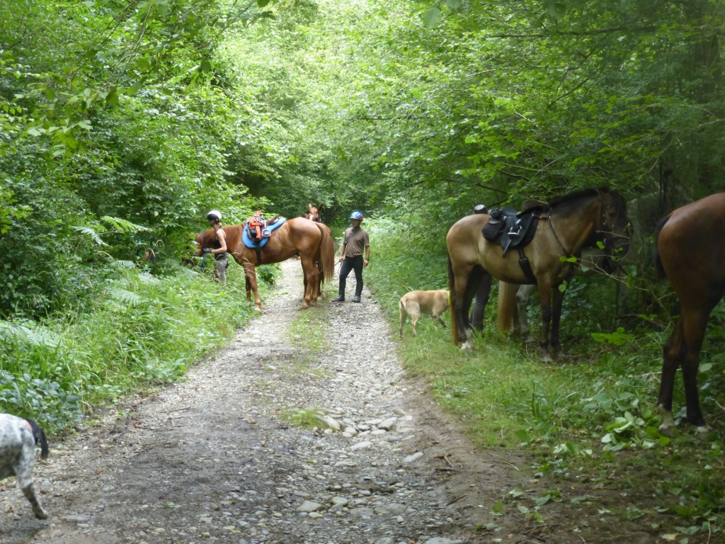 P1000572