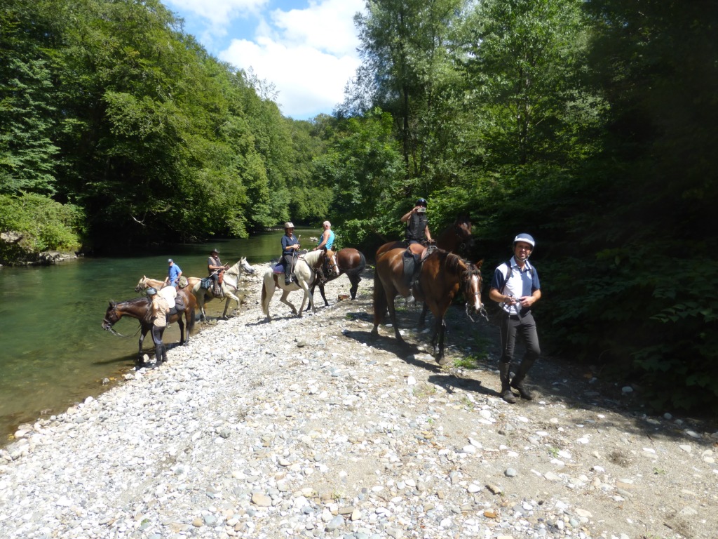 P1000563
