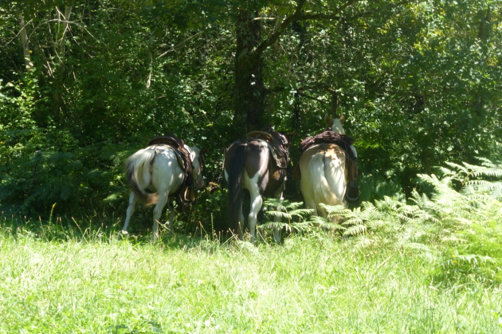 P1000600