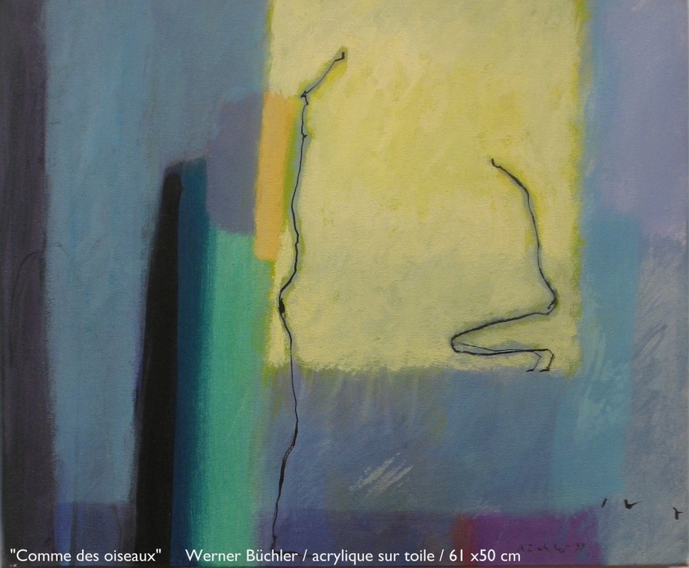 Com d oiseaux46x38 99 t