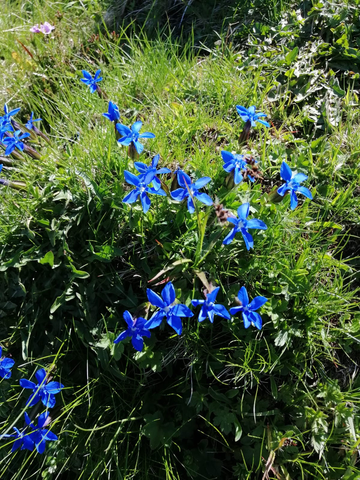 Img 20200521 wa0058
