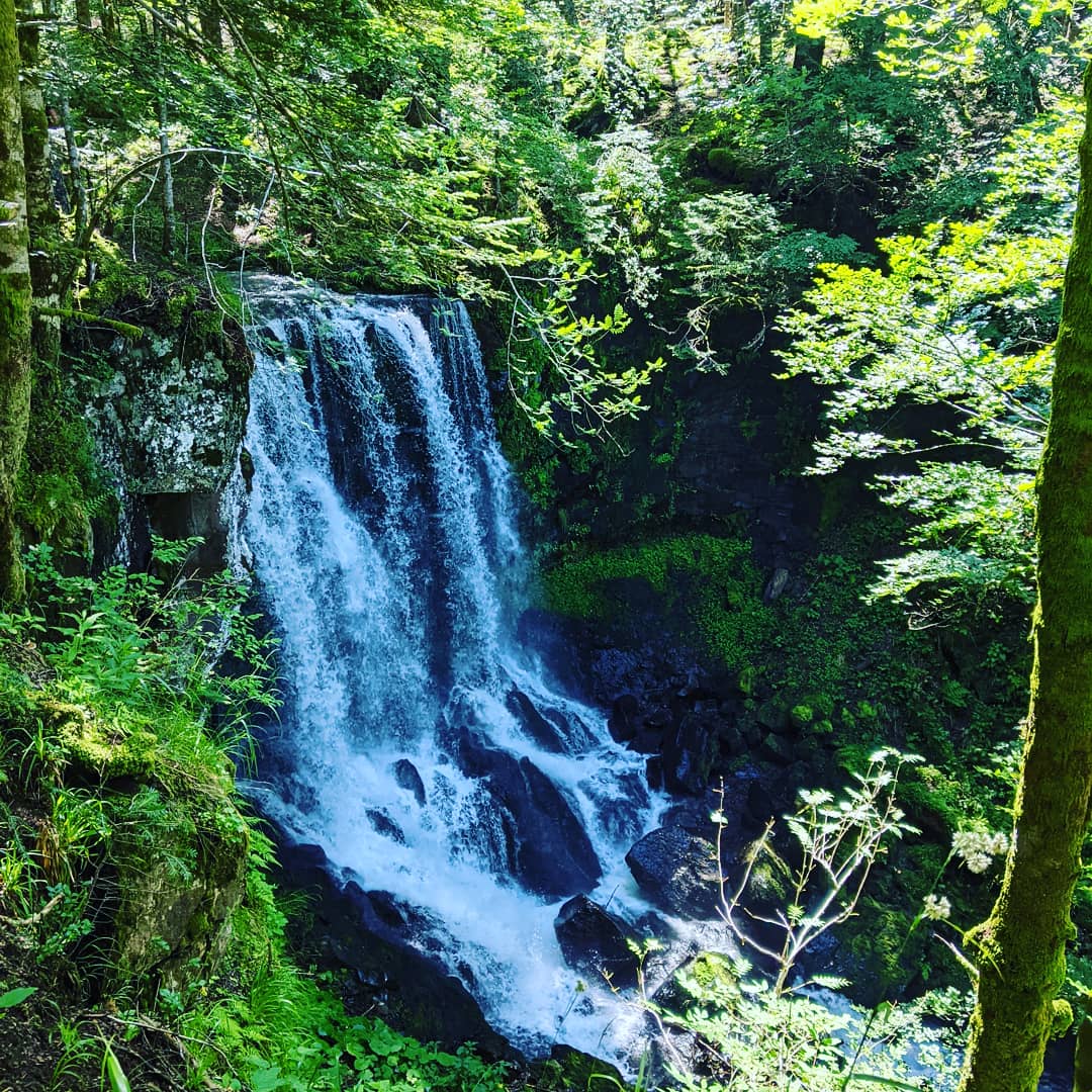 Img 20210719 wa0053