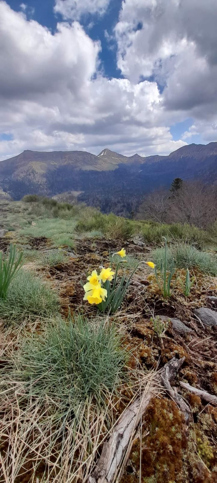 Img 20220506 wa0002